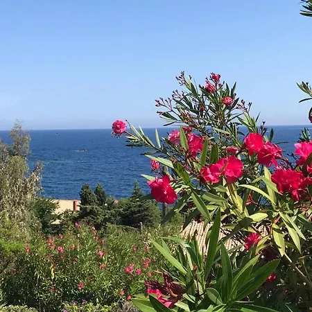Elisabeth Saint-raphael Saint-Raphael (Var)